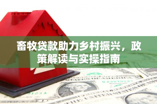 曲麻莱畜牧贷款助力乡村振兴，政策解读与实操指南