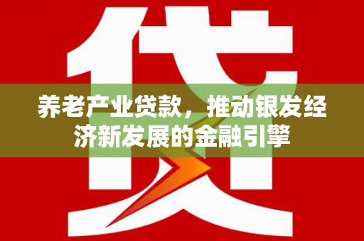 曲麻莱养老产业贷款，推动银发经济新发展的金融引擎