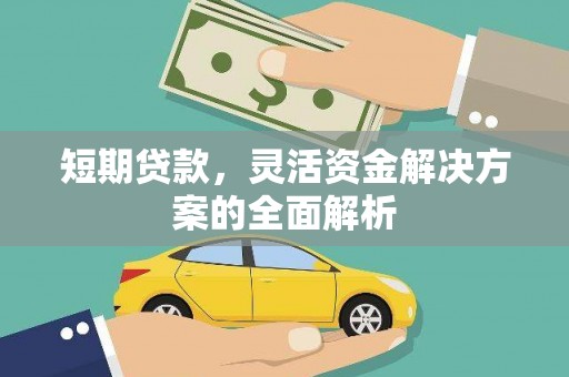 曲麻莱短期贷款，灵活资金解决方案的全面解析