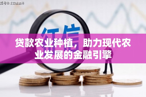 曲麻莱贷款农业种植，助力现代农业发展的金融引擎