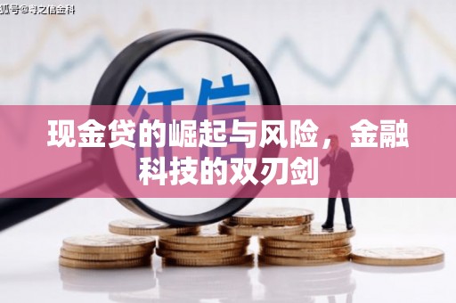 曲麻莱现金贷的崛起与风险，金融科技的双刃剑