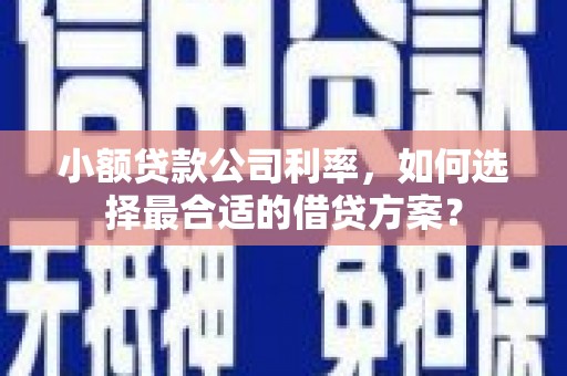 曲麻莱小额贷款公司利率，如何选择最合适的借贷方案？