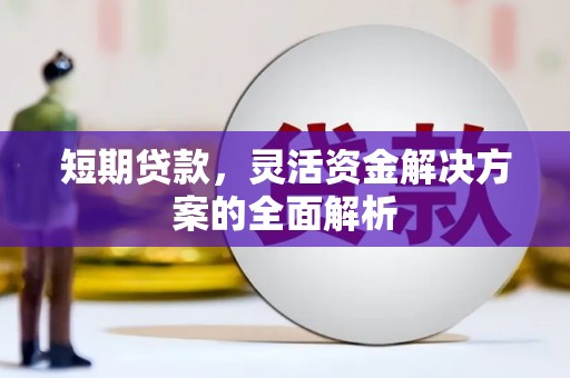 曲麻莱短期贷款，灵活资金解决方案的全面解析