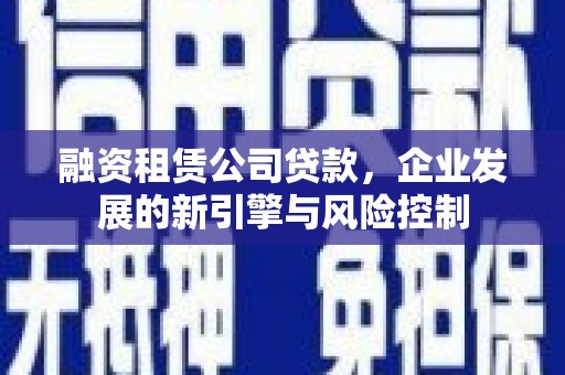 曲麻莱融资租赁公司贷款，企业发展的新引擎与风险控制