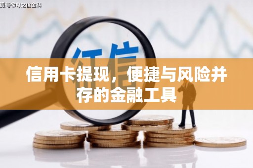 曲麻莱信用卡提现，便捷与风险并存的金融工具