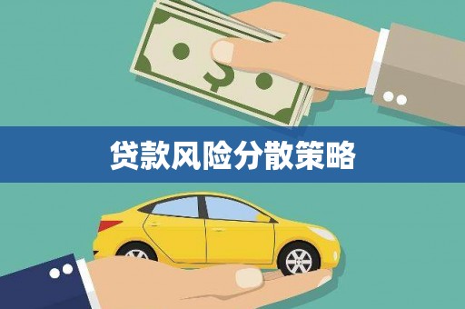 曲麻莱贷款风险分散策略