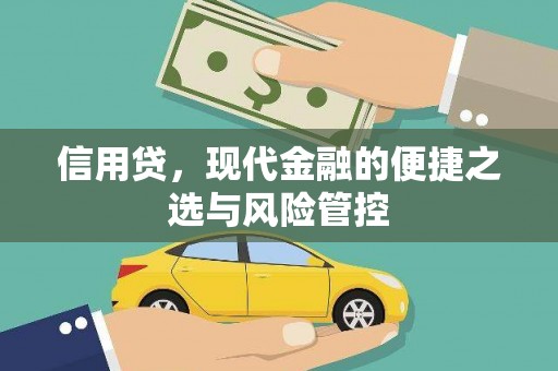 曲麻莱信用贷，现代金融的便捷之选与风险管控