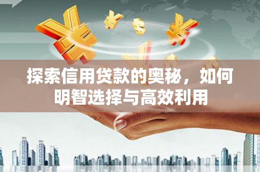 曲麻莱探索信用贷款的奥秘，如何明智选择与高效利用