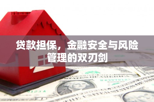 曲麻莱贷款担保，金融安全与风险管理的双刃剑