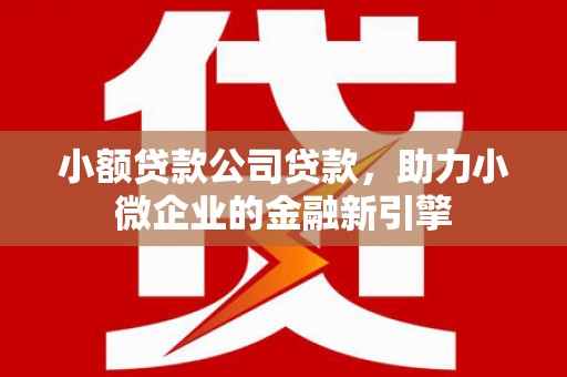 曲麻莱小额贷款公司贷款，助力小微企业的金融新引擎