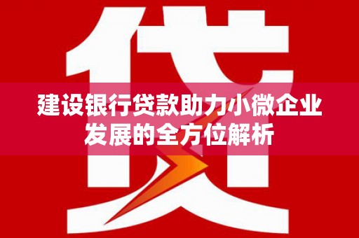 曲麻莱建设银行贷款助力小微企业发展的全方位解析