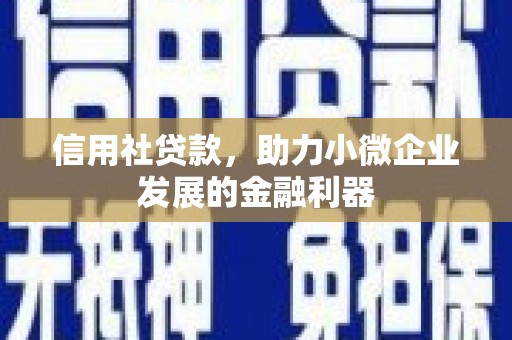 曲麻莱信用社贷款，助力小微企业发展的金融利器