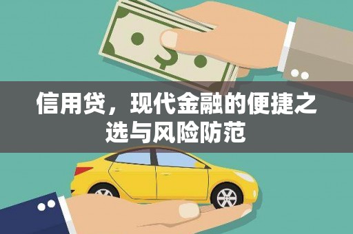 曲麻莱信用贷，现代金融的便捷之选与风险防范