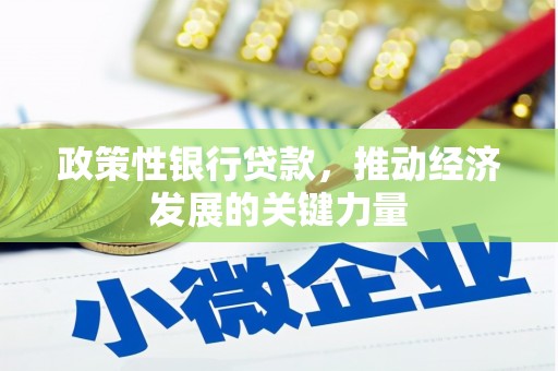 曲麻莱政策性银行贷款，推动经济发展的关键力量