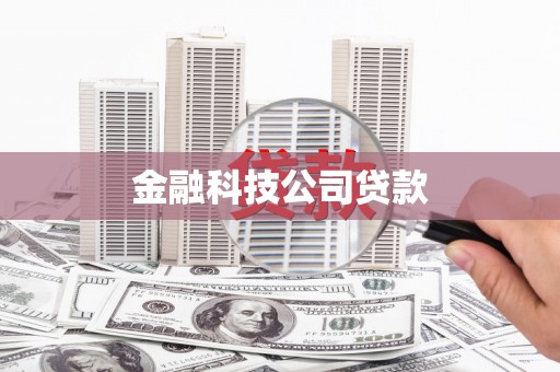 曲麻莱金融科技公司贷款