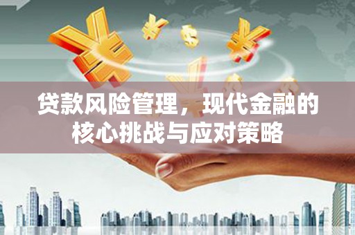 曲麻莱贷款风险管理，现代金融的核心挑战与应对策略