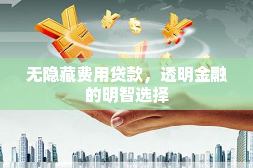 曲麻莱无隐藏费用贷款，透明金融的明智选择