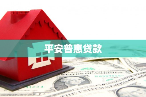 曲麻莱平安普惠贷款