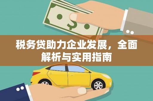 曲麻莱税务贷助力企业发展，全面解析与实用指南
