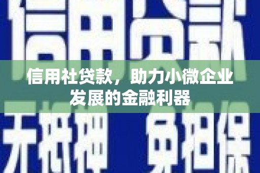 曲麻莱信用社贷款，助力小微企业发展的金融利器