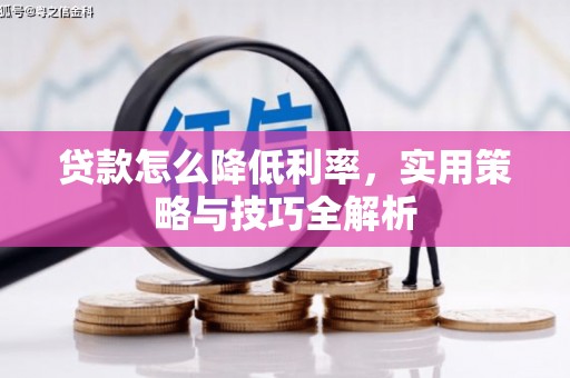 曲麻莱贷款怎么降低利率，实用策略与技巧全解析