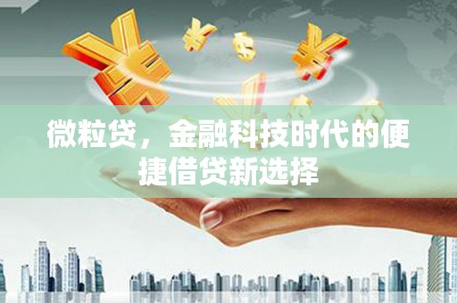 曲麻莱微粒贷，金融科技时代的便捷借贷新选择