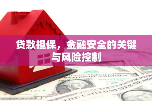 曲麻莱贷款担保，金融安全的关键与风险控制