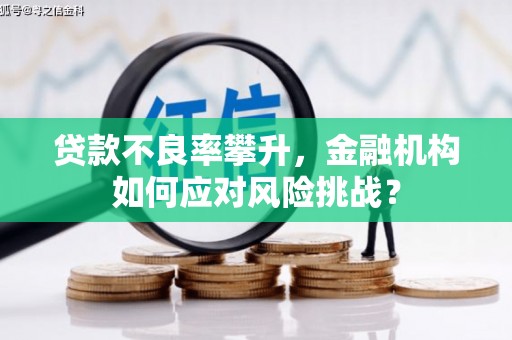 曲麻莱贷款不良率攀升，金融机构如何应对风险挑战？