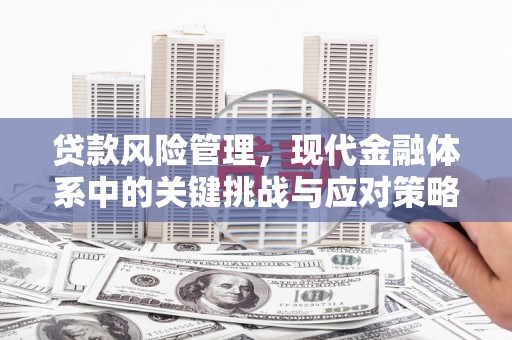 曲麻莱贷款风险管理，现代金融体系中的关键挑战与应对策略