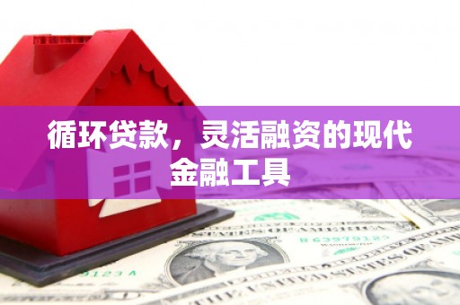 曲麻莱循环贷款，灵活融资的现代金融工具