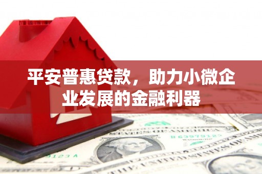 曲麻莱平安普惠贷款，助力小微企业发展的金融利器
