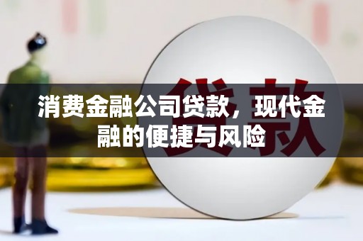 曲麻莱消费金融公司贷款，现代金融的便捷与风险