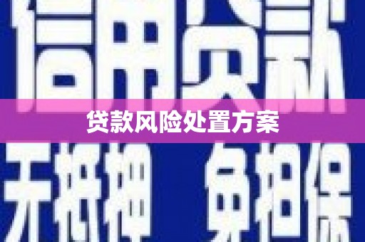曲麻莱贷款风险处置方案