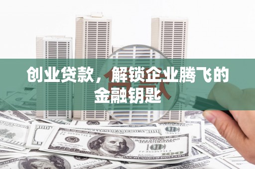 曲麻莱创业贷款，解锁企业腾飞的金融钥匙