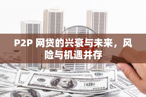 曲麻莱P2P 网贷的兴衰与未来，风险与机遇并存