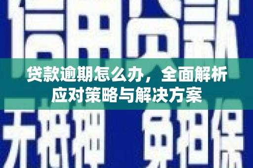 曲麻莱贷款逾期怎么办，全面解析应对策略与解决方案