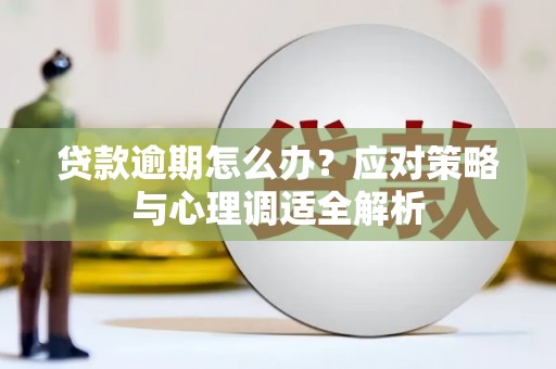曲麻莱贷款逾期怎么办？应对策略与心理调适全解析