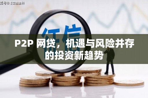 曲麻莱P2P 网贷，机遇与风险并存的投资新趋势