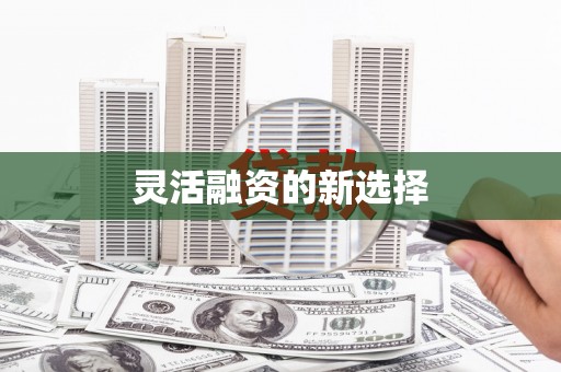 曲麻莱灵活融资的新选择
