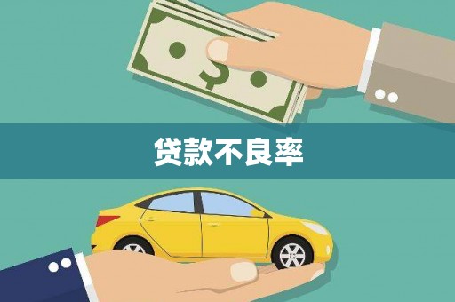 曲麻莱贷款不良率