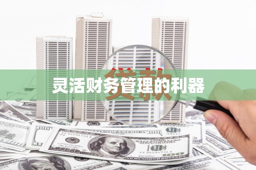 曲麻莱灵活财务管理的利器