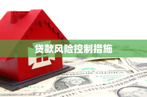 曲麻莱贷款风险控制措施