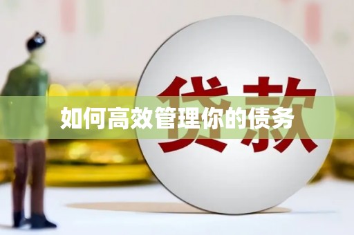 曲麻莱如何高效管理你的债务