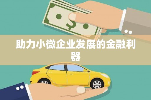 曲麻莱助力小微企业发展的金融利器