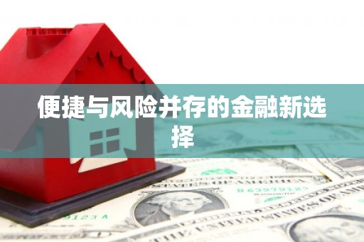 曲麻莱便捷与风险并存的金融新选择