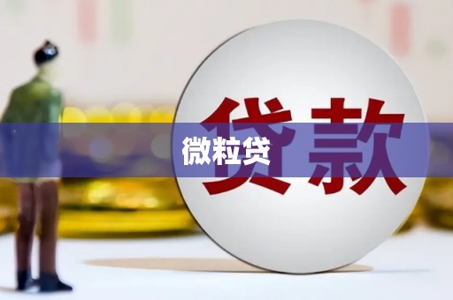 曲麻莱微粒贷