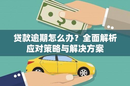 曲麻莱贷款逾期怎么办？全面解析应对策略与解决方案