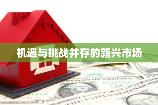 曲麻莱机遇与挑战并存的新兴市场