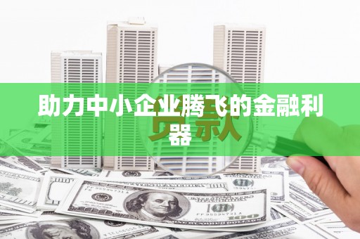 曲麻莱助力中小企业腾飞的金融利器