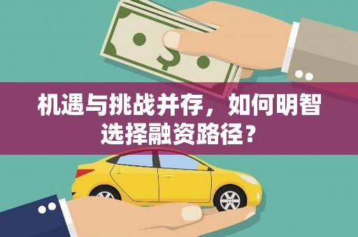 曲麻莱机遇与挑战并存，如何明智选择融资路径？